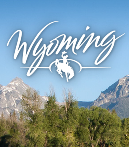 Wyoming Business Package